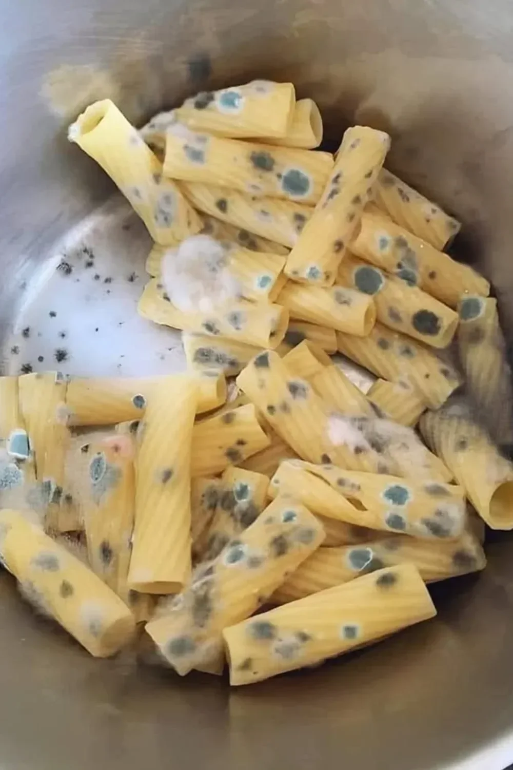 Pasta aux champignons servis dans un plat élégant