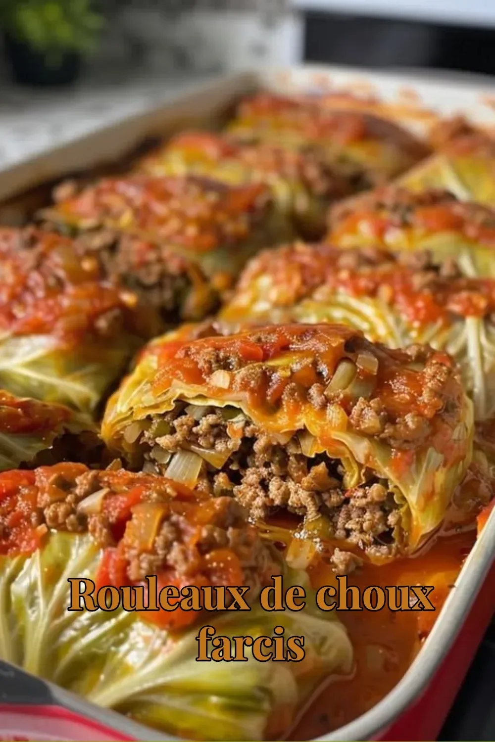 Rouleaux de choux farcis garnis de viande et légumes dans une sauce délicieuse