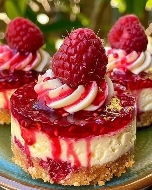 Mini Cheesecakes au Citron et Framboise sans cuisson présentés sur une assiette